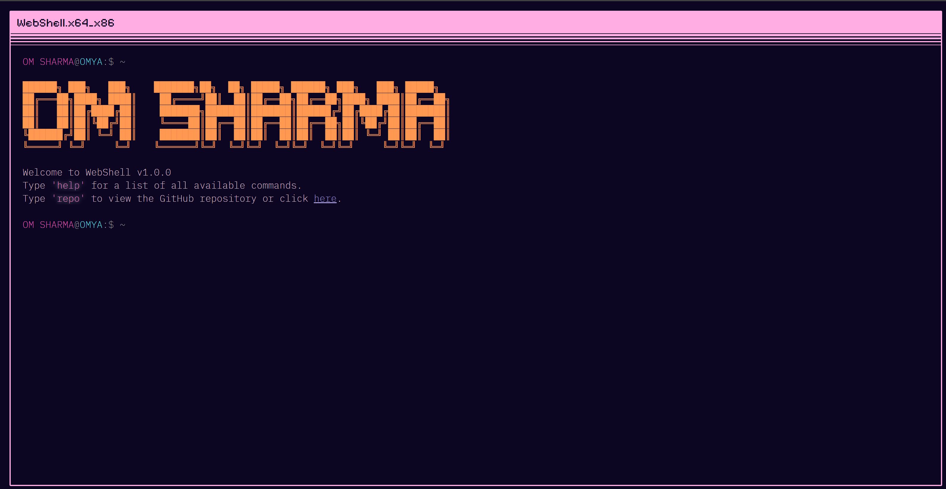 Terminal Portfolio